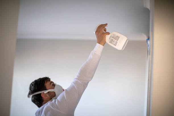 Best Professional Mold Removal  in Olympia Fields, IL